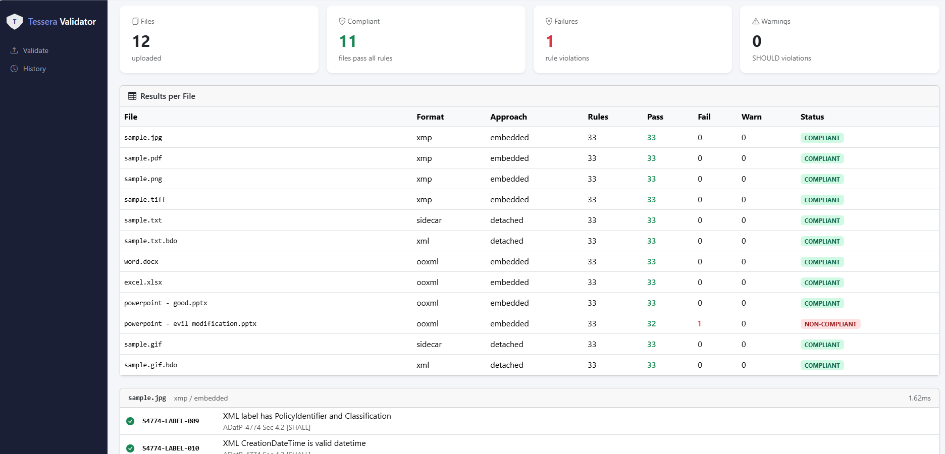 Tessera Validator results view showing 12 uploaded files, 11 compliant, 1 non-compliant, with per-file rule breakdown